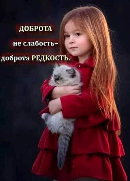 дОБРОТА не слабость