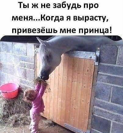 Ты ж не забудь про меняКогда я вырасту привезёшьмне принца
