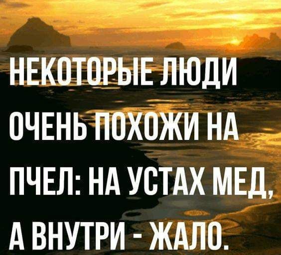 __ __ _ НЕКОТОРЫЕ ЛЮДИ ОЧЕНЬ ПОХОЖИ НА ПЧЕЛ НА УСТАХ МЕД А ВНУТРИ ЖАЛП