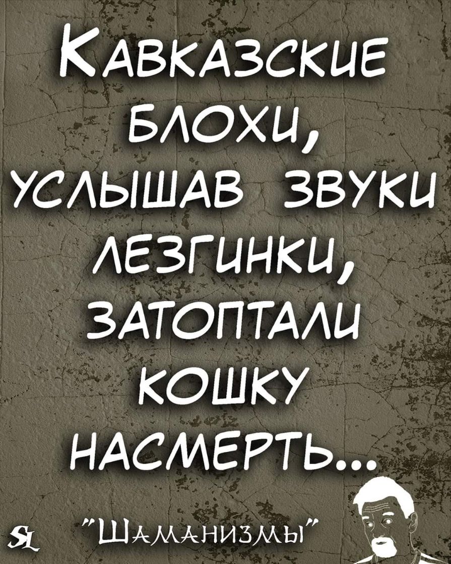 КАВКАЗСКЦЕ БАОХЦ УСАЫШАВ звуки лезгинка ЗАТОПТААЦ кошку ндсмггть Я ШАМАНИЗМЫ 7