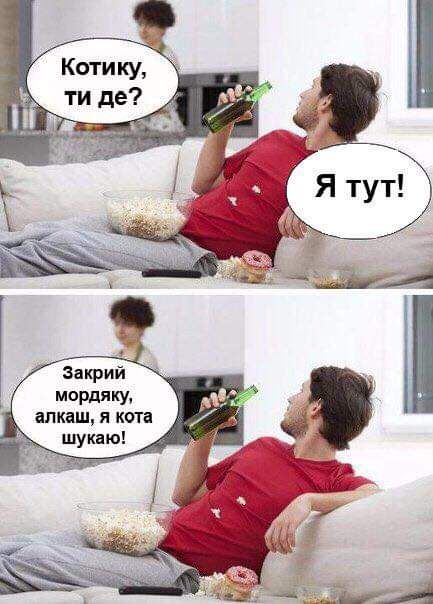мордяку алкаш я кота