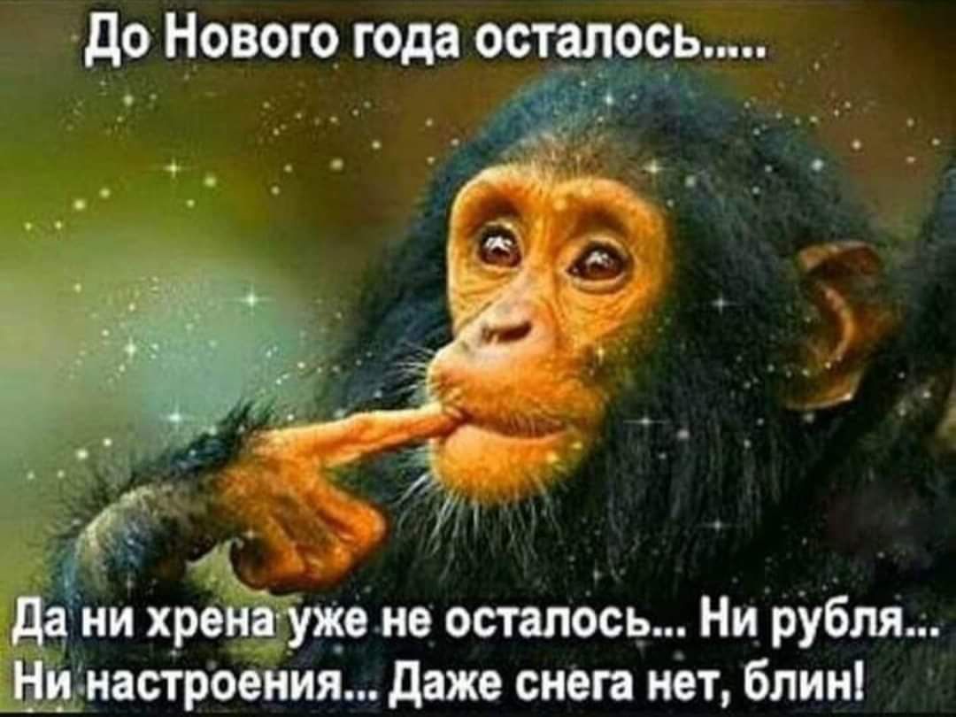 до Нового года осталось Гц я _ _ А дд ни хрончужо не осталось Ни рубля дні настроения даже снега нет блин