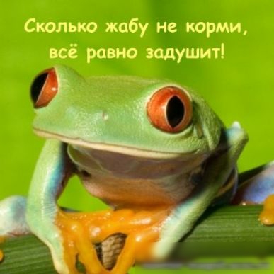 Сколько жабу не корми всё равно задушит