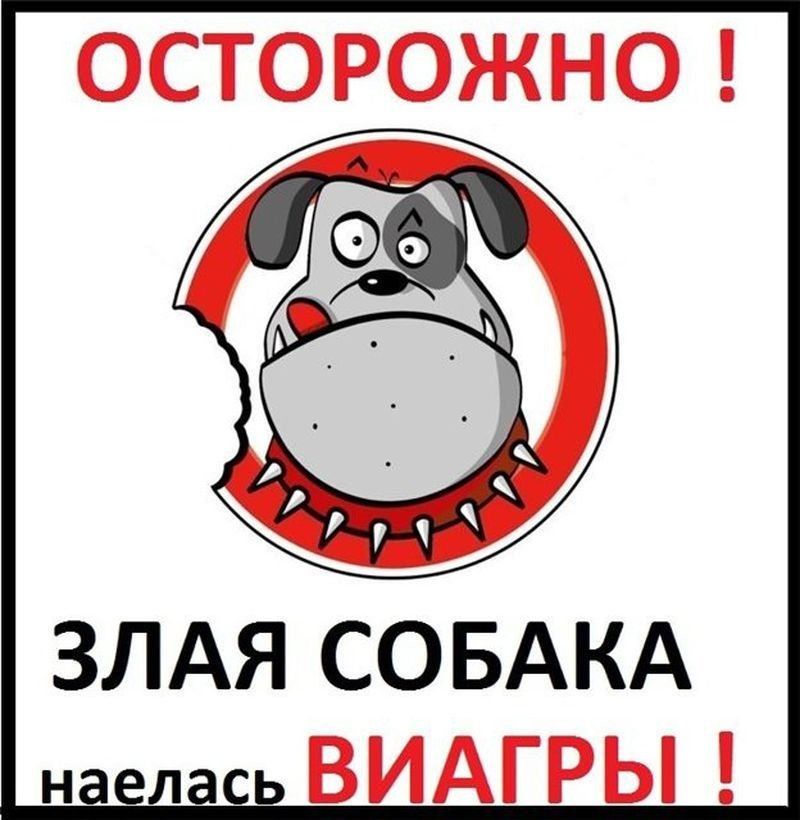 ЗЛАЯ СОБАКА наелась _