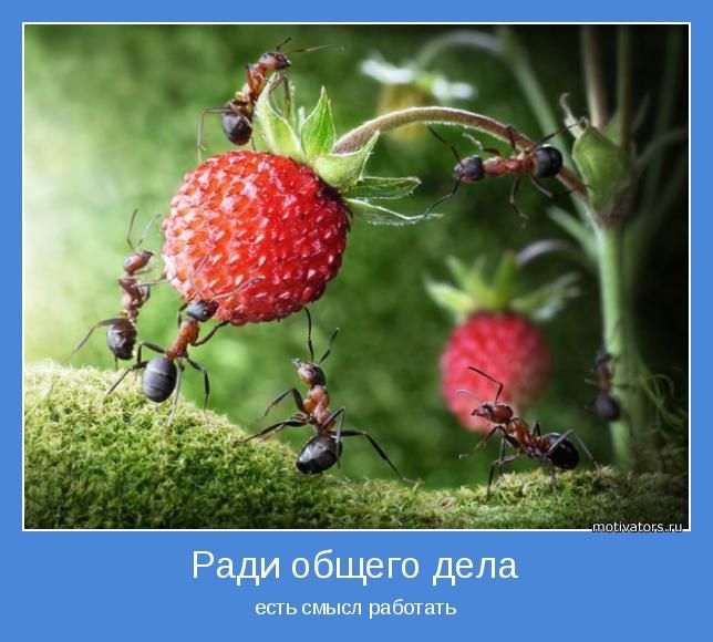 моющим Ради общего дела есть смысл работать