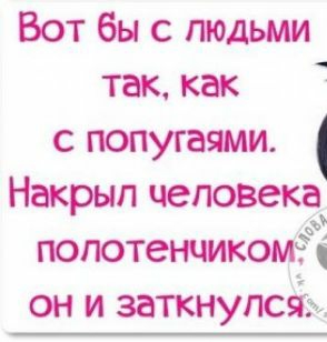 Вот бы с людьми так как с попугаями Накрып человека попотенчикот он и заткнупсч