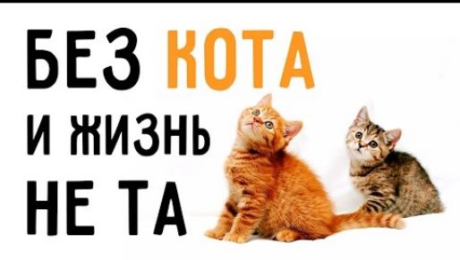 БЕЗ и жизнь _ НЕ ТА