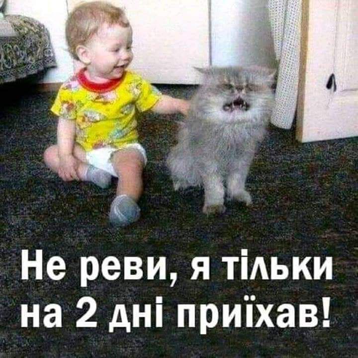 Не реви я ТіАЬКИ на 2 дні приіхав