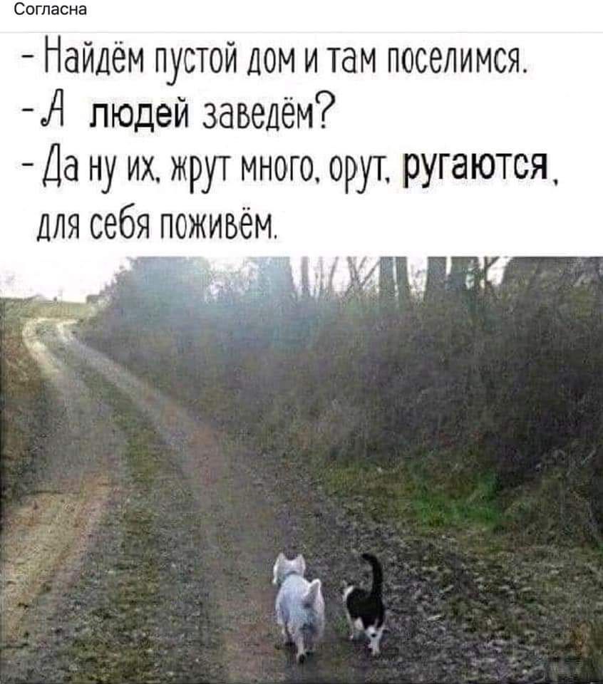 Согласна Найдём пустой ДОМ и там поселимся нд людей заведём Да ну их жрут много орут ругаются для себя поживем