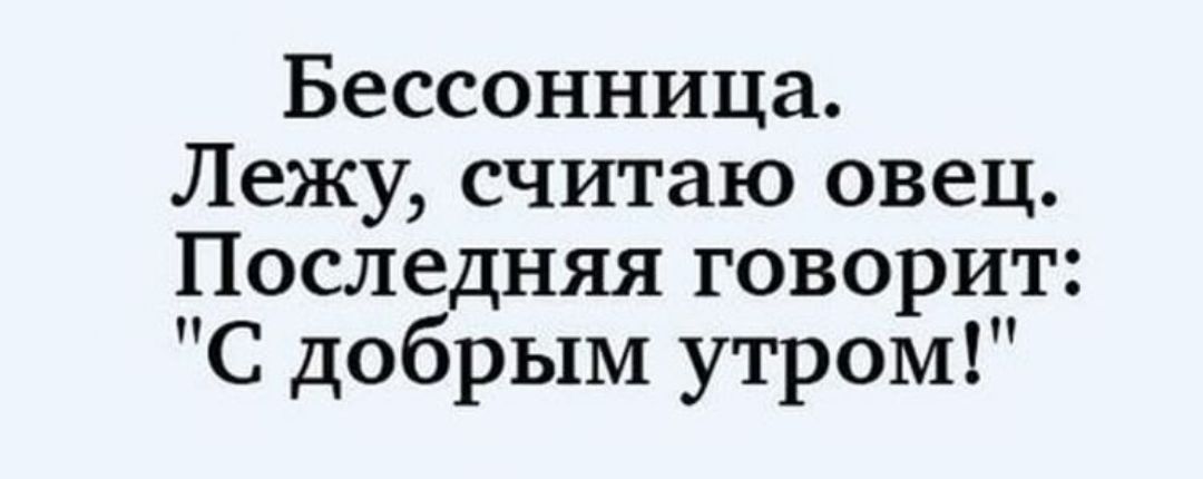 Бессонница Лежу считаю овец Последняя говорит С добрым утром