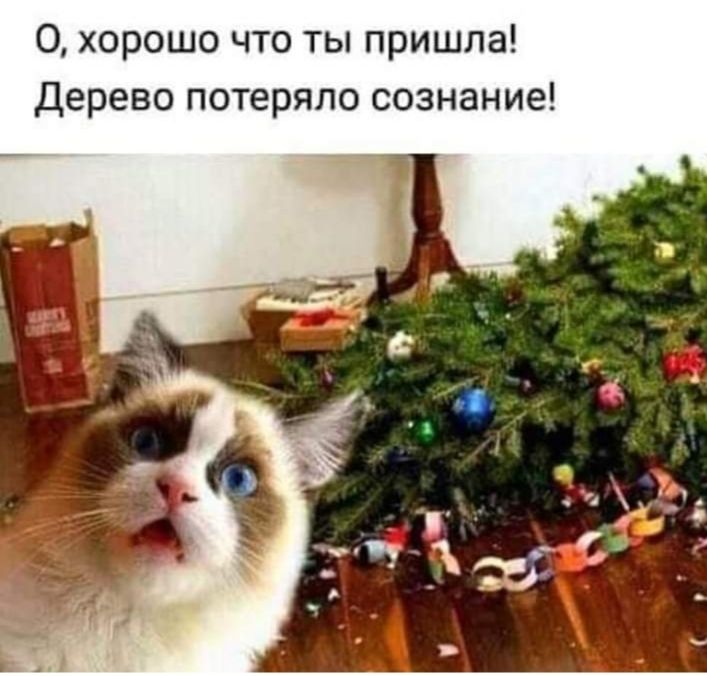 0 хорошо что ты пришла Дерево потеряло сознание