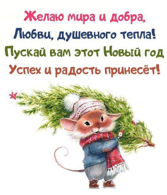 Желаю мира и добра Любви душевного тепла Пускай вам этот Новый год Успех и радость принесёт