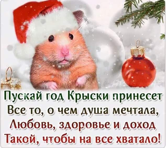 Пускай год Крыски принесет Все то о чем душа мечтала Аюбовь здоровье и доход Таквй чтобы на все хватало