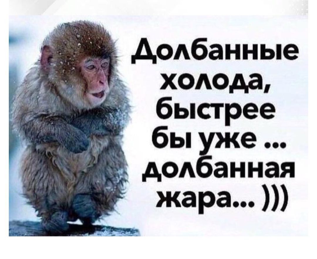 АФАбанные хомэда быстрее бы АОА анная жара