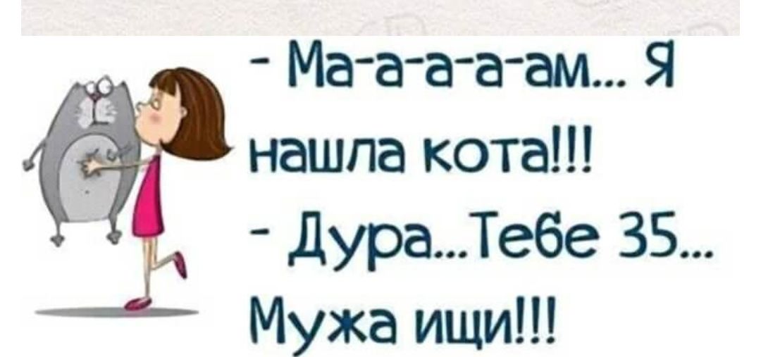 Ма а аа ам Я нашла кота дураТе6е 35 Мужа ищи