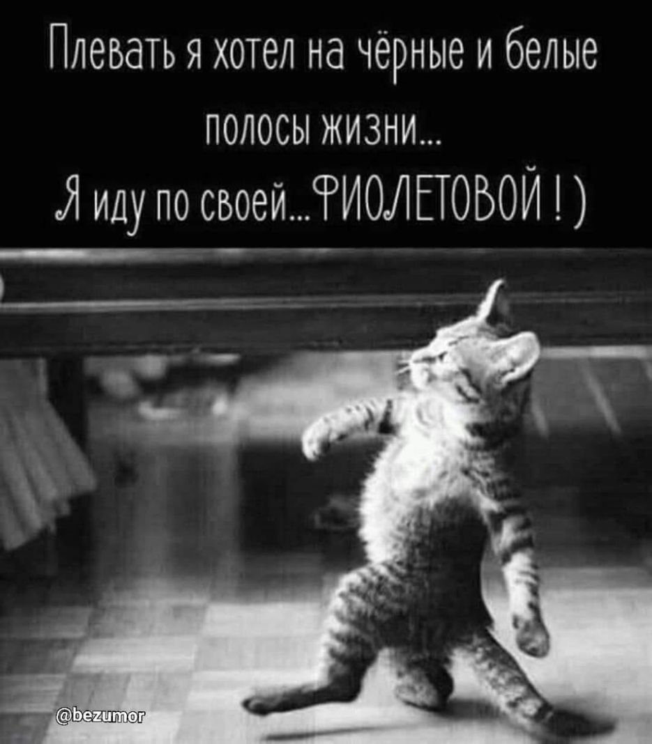 Плевать я хотел на чёрные и белые полосы жизни Я иду по своейИОЛЕТОБОИ