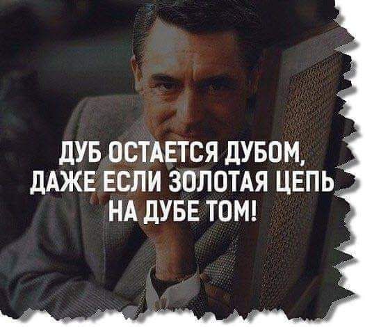 дУБ ОСТАЕТСЯ ДУБОМ дАЖЕ ЕСЛИ ЗОЛОТАЯ ЦЕПЬ НА дУБЕ ТОМ