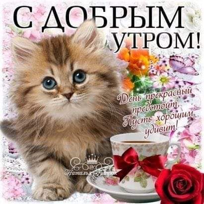 САОБРЫМ дуітроу