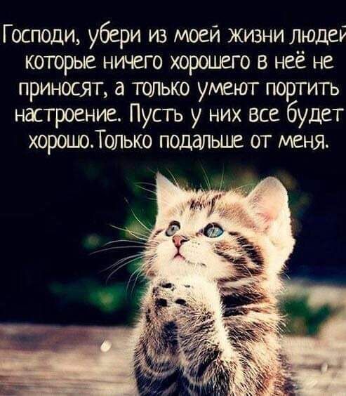 Господи убери из моей жизни людей которые ничего хорошего в неё не приносят а только умеют портить настроение Пусть у них все будет хорошТолько подальше от меня