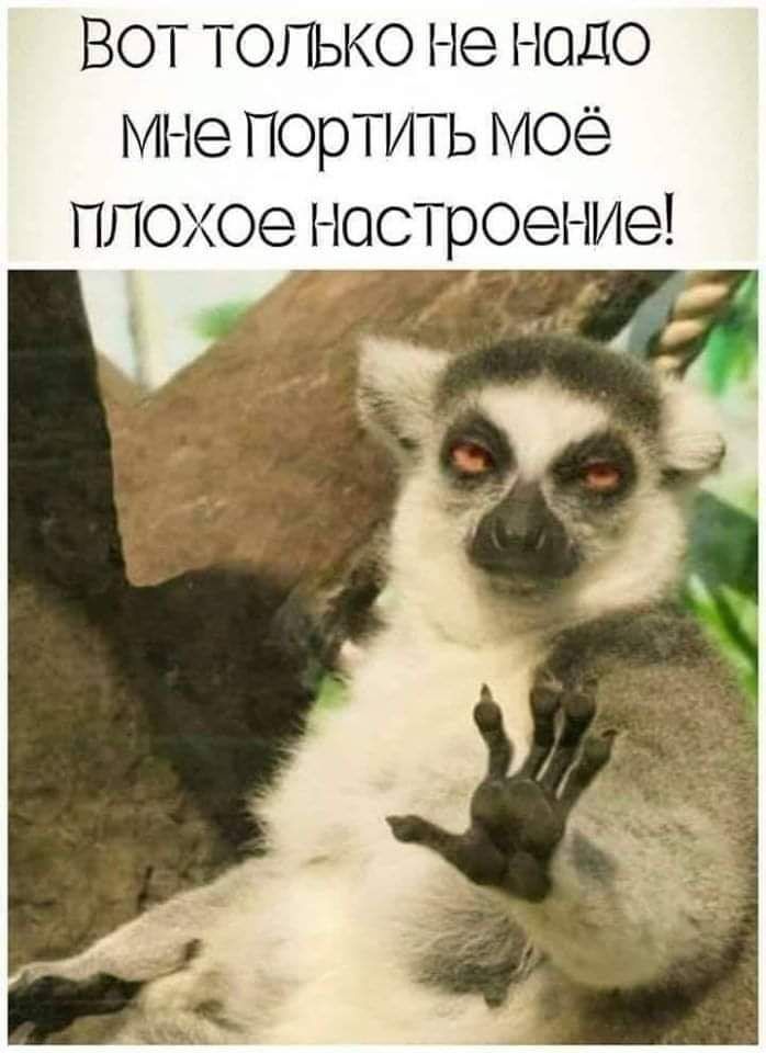 ВОТ только не надо мне П0рТИТЬ моё плохое Настроение
