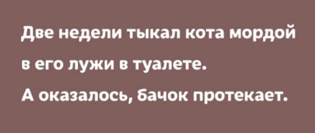 две недели тыкап кота мордой в его лужи в туалете А оказалось бачок ПРОТЭКЗЕТ