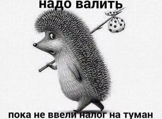 пока не 558 на туман