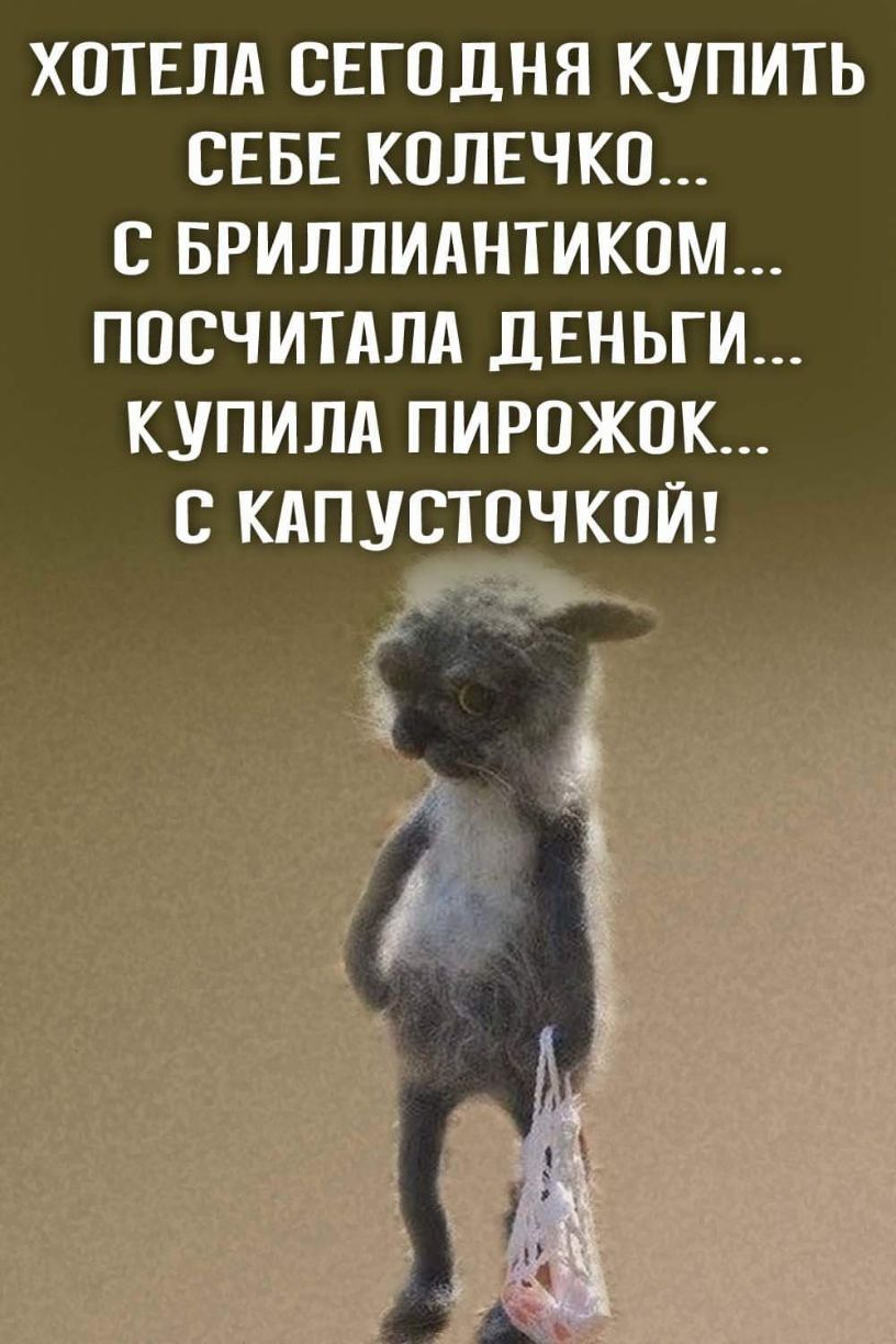 ХОТЕЛА СЕГОДНЯ КУПИТЬ СЕБЕ КОЛЕЧКО С БРИЛЛИАНТИКОМ ПОСЧИТАЛА ДЕНЬГИ КУПИЛА ПИРОЖОК С КАПУСТОЧКОЙ