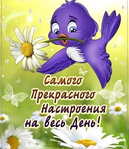 і Самуи Лрекрддддгд уасшрддшя и афиша