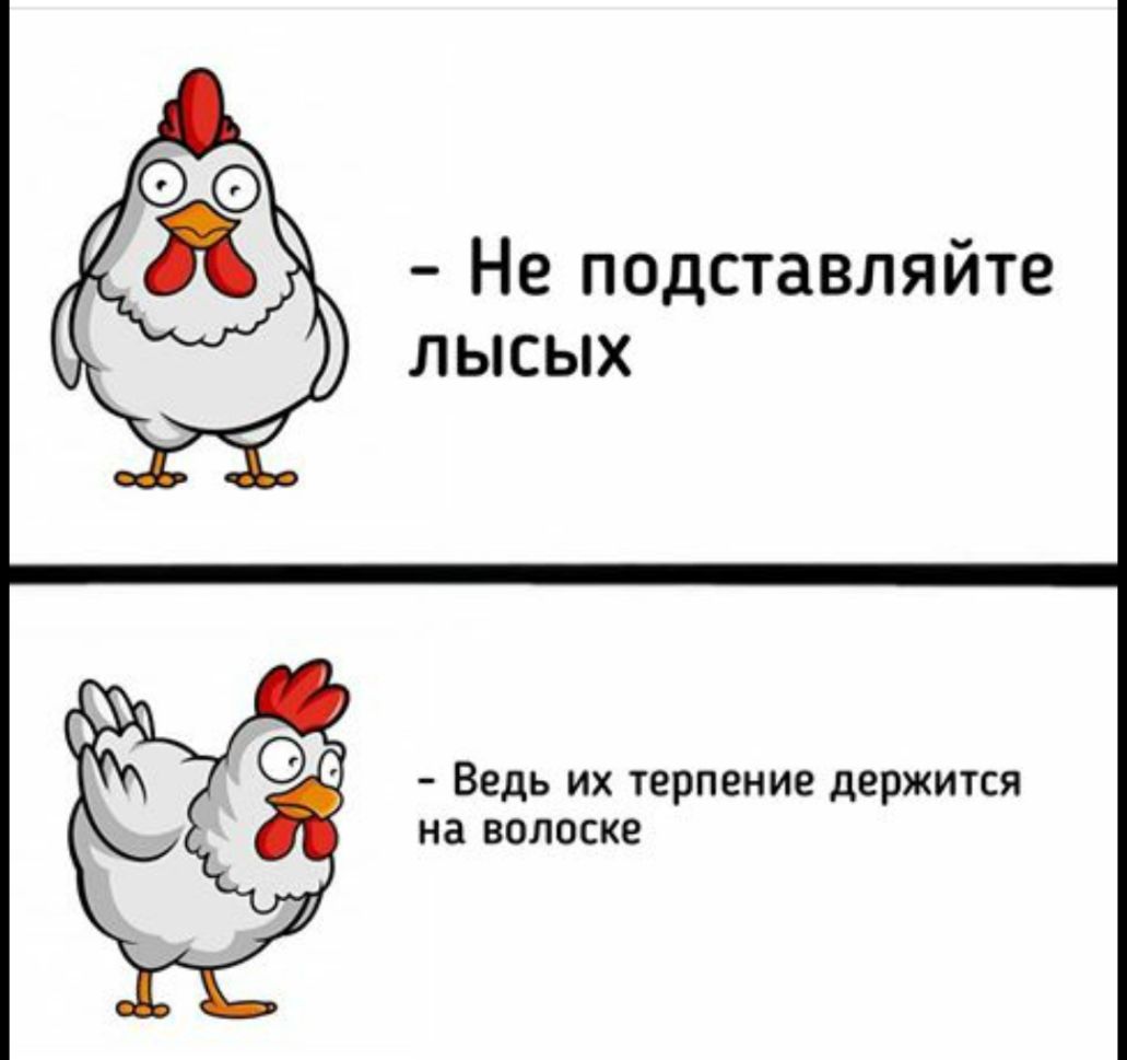 Не подставляйте лысых Ведь их терпение держится на волоске