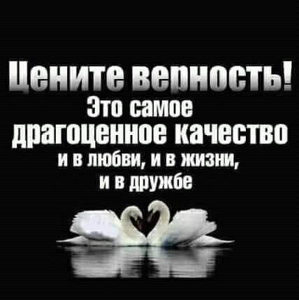 ВПИТВ ВВПНЩПЬ Зто импв ЩЮПЩЕННЩЕ качество и в любви и в ишани и вдружбе