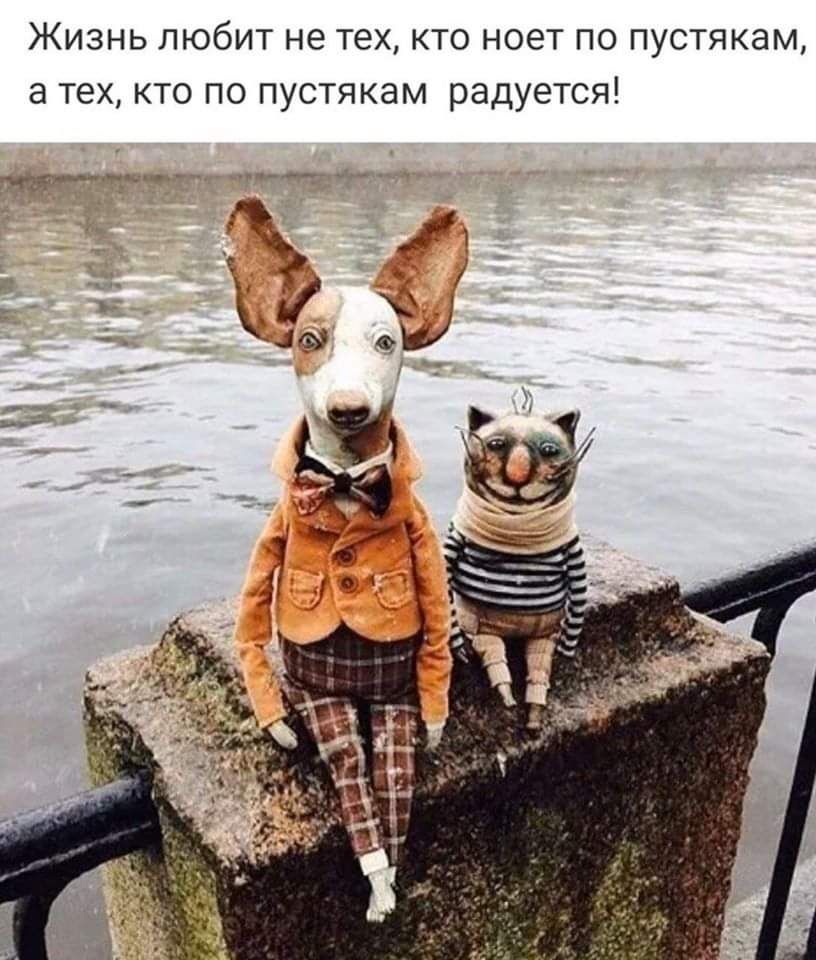 Жизнь любит не тех кто ноет по пустякам а тех кто по пустякам радуется __ 3 1 т _