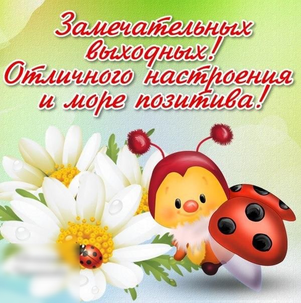 бти итогаласт оен 4 мог логиига