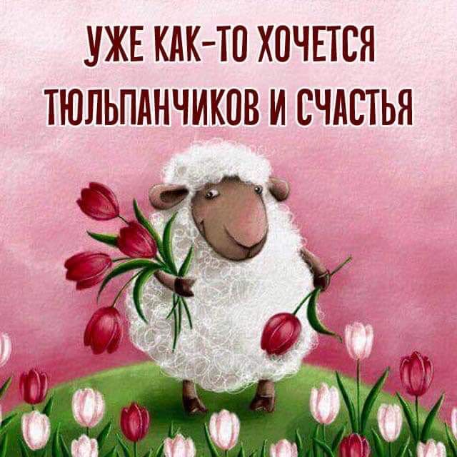 УЖЕ КАК ТП ХОЧЕТСЯ ТЮЛЬПдНЧИКПВ И СЧАСТЬЯ