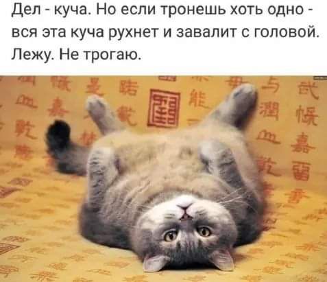 Дел куча Но если тронешь хоть одно вся эта куча рухнет и завапит с головой Лежу Не трогаю