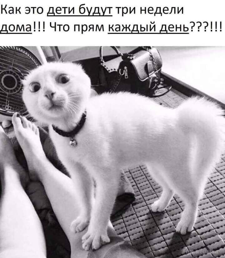 Как это дети будд три недели дома Что прям каждый день