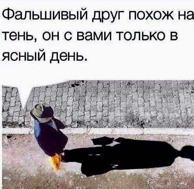 Фальшивый друг похож на тень он с вами только в ясный день