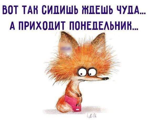 ВОТ ТАН БИЛИШЬ НШЕШЬ ЧУПА А ПРИХОДИТ ПОНЕПЕАЬНИН