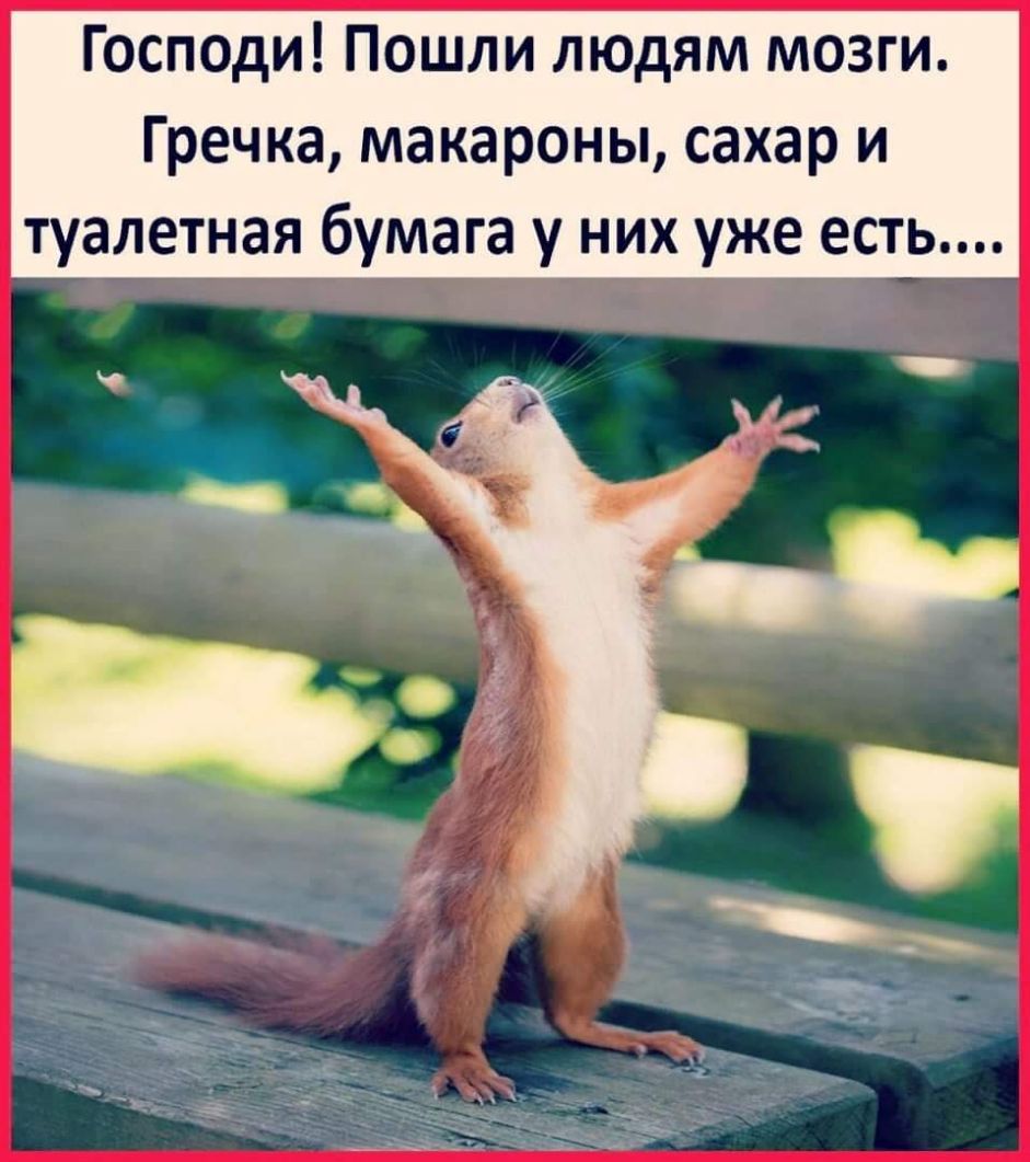 Господи Пошли людям мозги Гречка макароны сахар и туалетная бумага у них уже есть