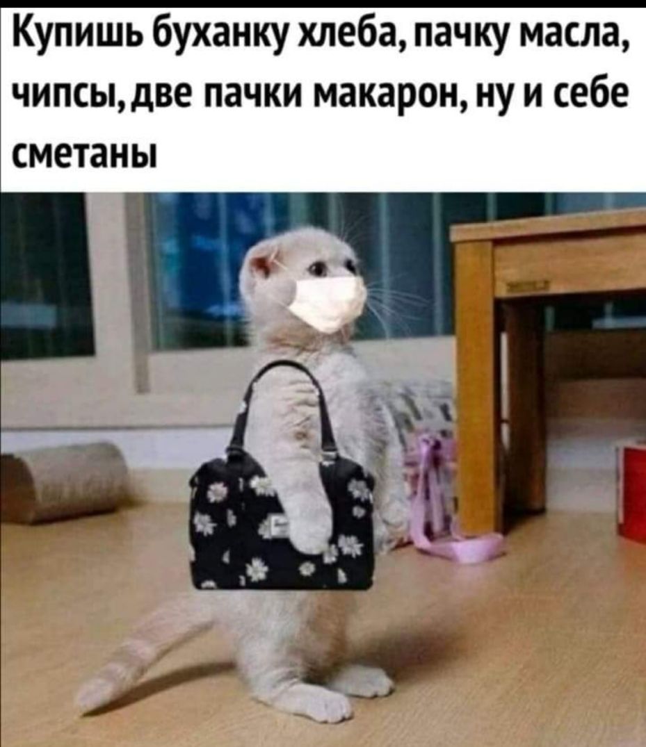 Купишь буханку хлеба пачку масла чипсыдве пачки макарон ну и себе сметаны