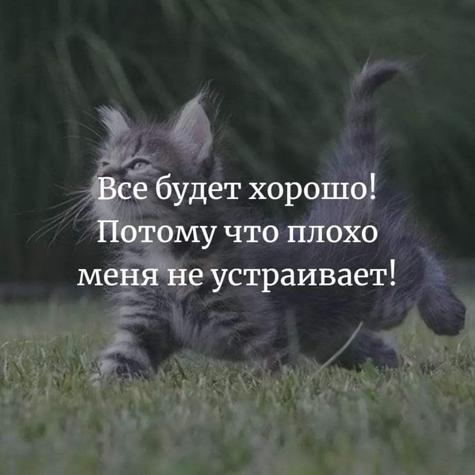 3575 Ёсе будет хорошо Потому что плохо меъдйщне устраивает _