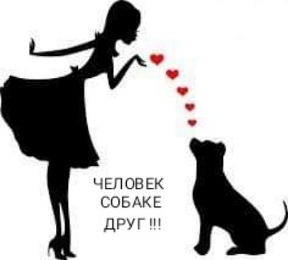 ЧЕЛОВЕК СОБАКЕ друг