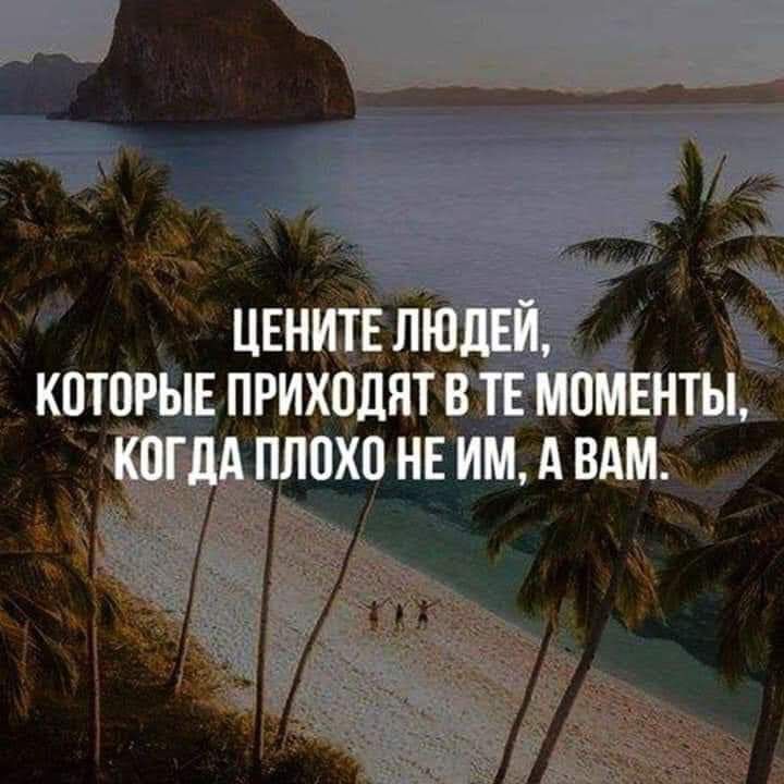 ценитвл _ Ё котор приходят вн п нвитмвдм