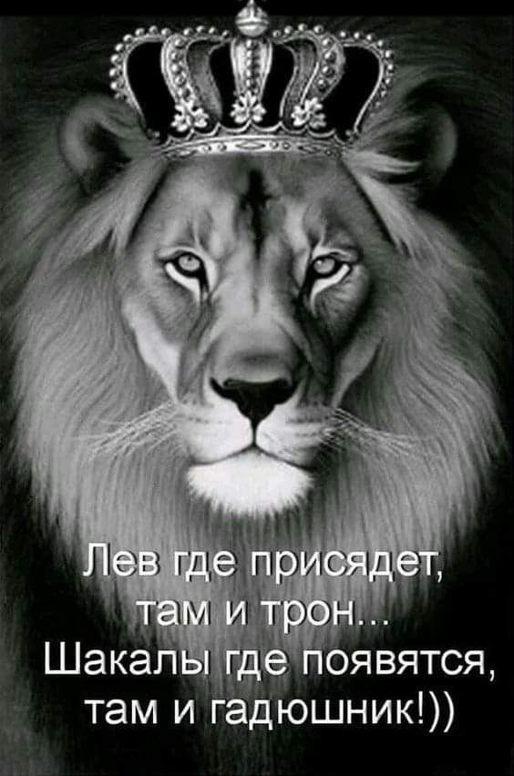 там и г дюшник