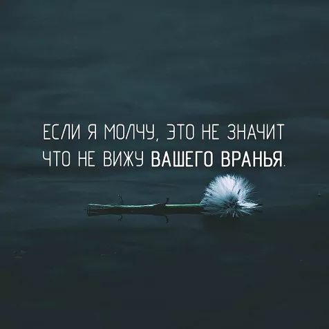 ЕСЛИ Я ГЮЛЧЧ ЭТО НЕ ЗНАЧИТ ЧТО НЕ ВИЖЧ ВАШЕГО ВРАНЬЯ _ _