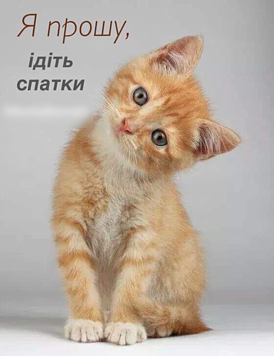 Я прошу ідіть спатки