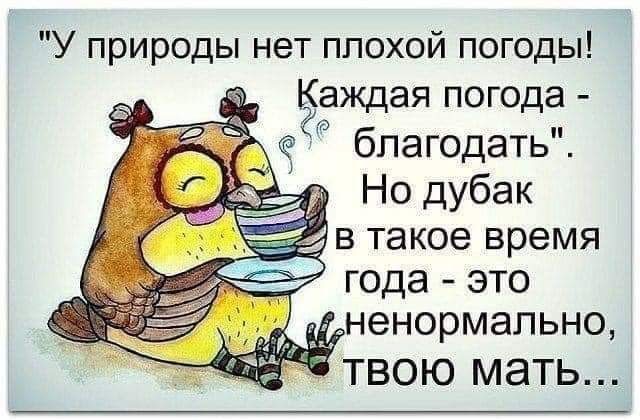 У природы нет плохой погоды Каждая погода благодать Но дубак в такое время года это ненормально ТВОЮ М8ТЬ