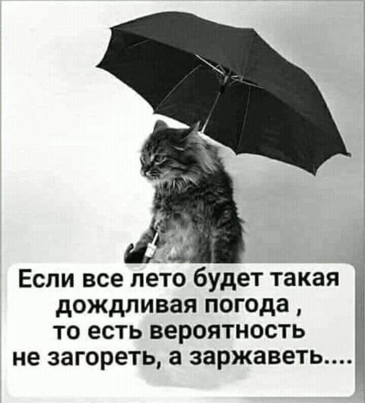 Если все лето будет такая дождливая погода то есть вероятность не загореть а заржаветь