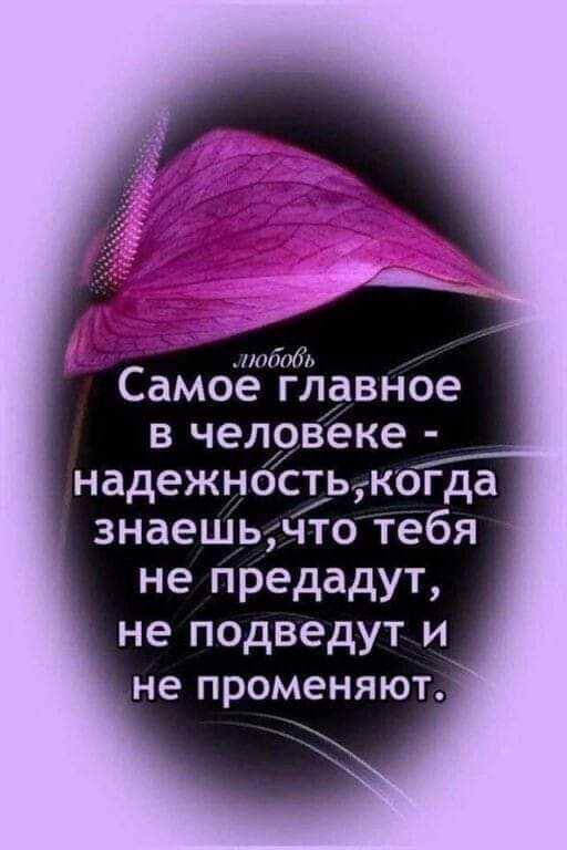 подии Самое главное в чел9веке надежнОстьгкогда знаешьчто тебя не предадут не подведут и не променяют