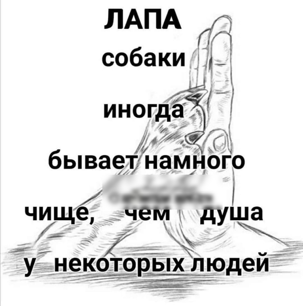 ЛАПА собаки г иногда 4 М бываетнамного _ чище_ чемк душа 4 _ _ У НЕКОТОРЫХ Л_Юдей