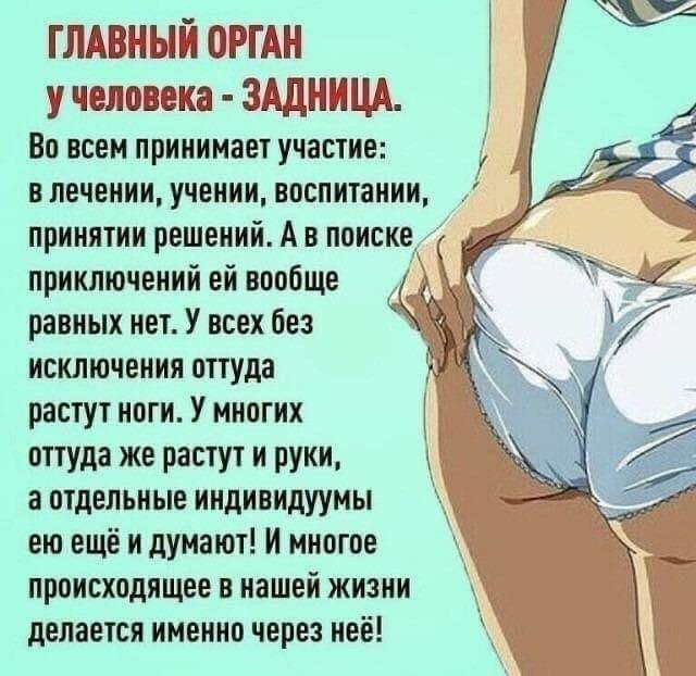 ГЛЕтВШПЕЦ РЭШ у часов и ЗДШЗЁЩА Во всем принимает участие в лечении учении воспитании принятии решений А в поиске приключений ей вообще равных нет У всех без исключения оттуда растут нпги У многих оттуда же растут и руки а отдельные индивидуумы 3 ею ещё и думают И многое происходящее в нашей жизни делается именно через неё